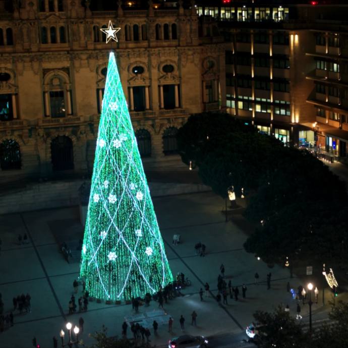 árvore de natal do porto